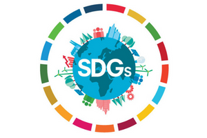 Understanding Sustainable Development Goals